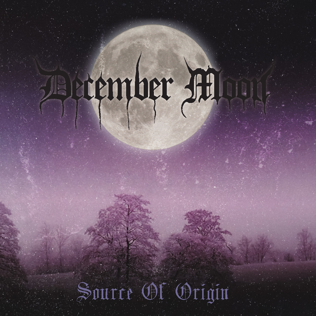DECEMBER MOON - SOURCE OF ORIGIN [VINYL 12'']